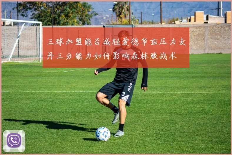 三球加盟能否减轻爱德华兹压力麦丹三分能力如何影响森林狼战术