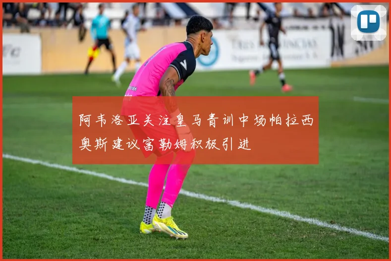 阿韦洛亚关注皇马青训中场帕拉西奥斯建议富勒姆积极引进